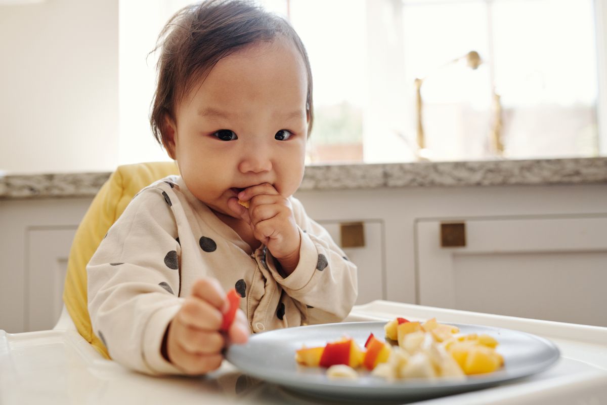 Baby in a high chair self-feeding cut fruit from a plate, a make-ahead high-protein toddler lunch component
