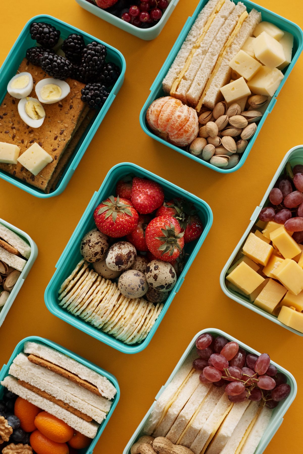 Divided cold lunch boxes packed with sandwich strips, cheese cubes, and fruit for a no-cook toddler lunch