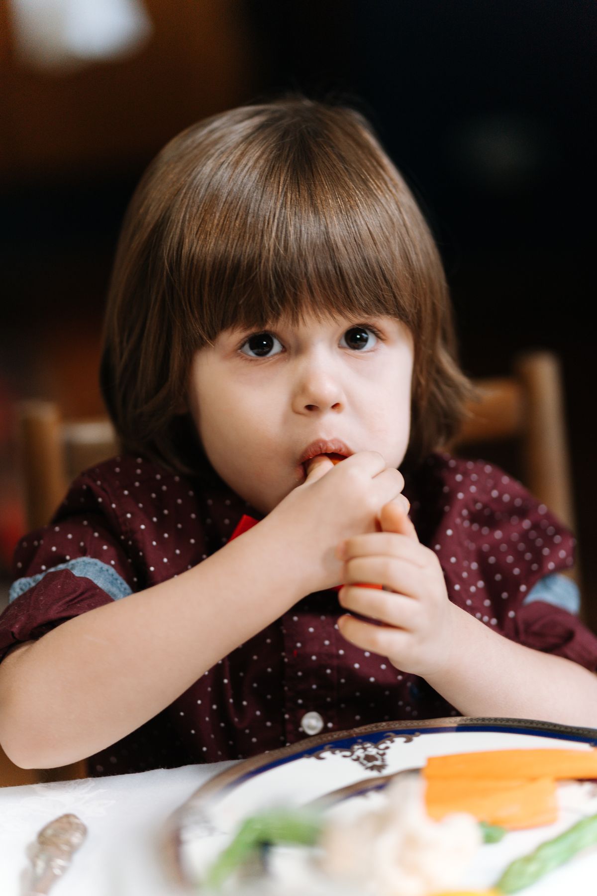 Picky toddler eating a carrot stick from a plate of separated foods, part of these lunch ideas for toddlers