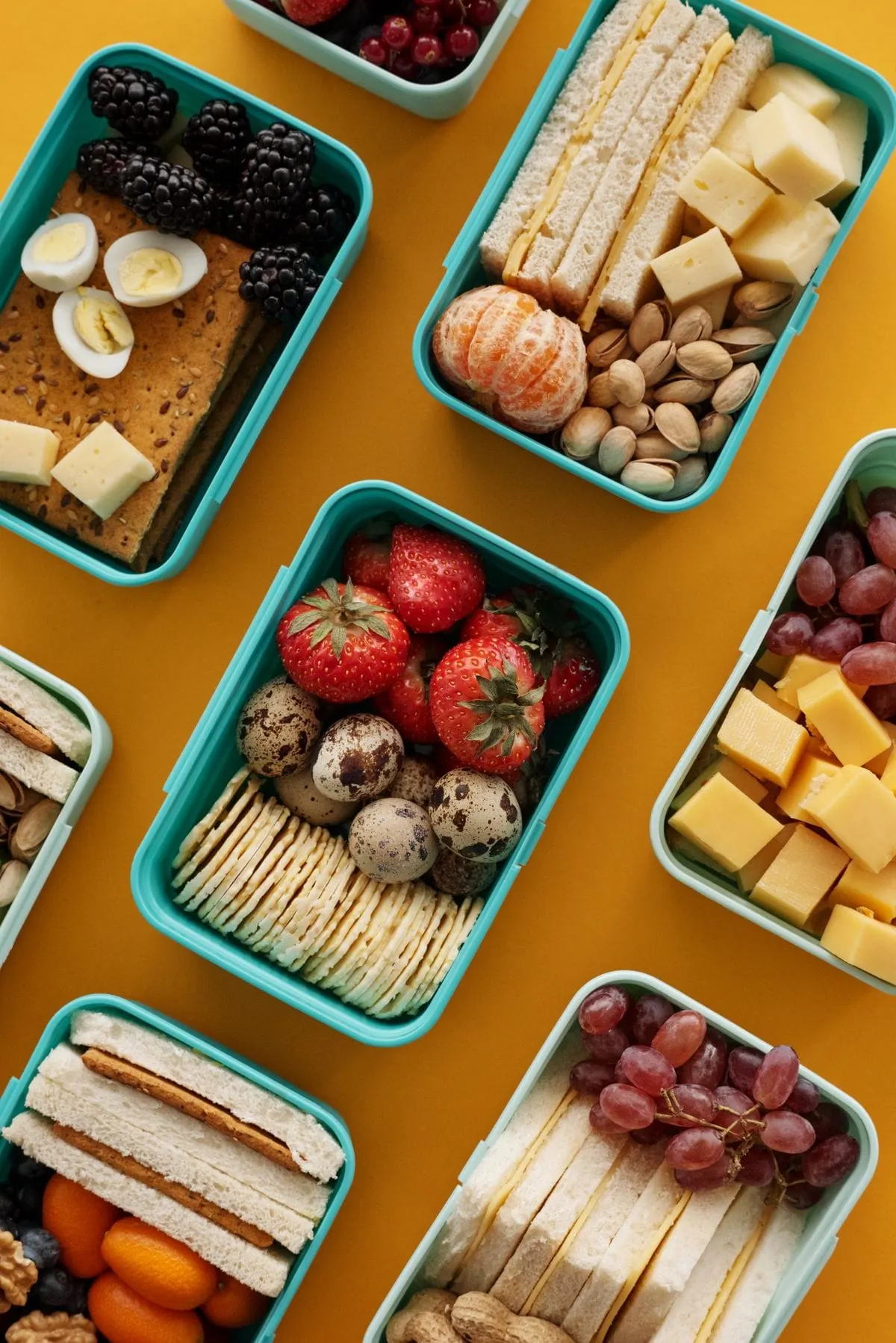 Divided cold lunch boxes packed with sandwich strips, cheese cubes, and fruit for a no-cook toddler lunch