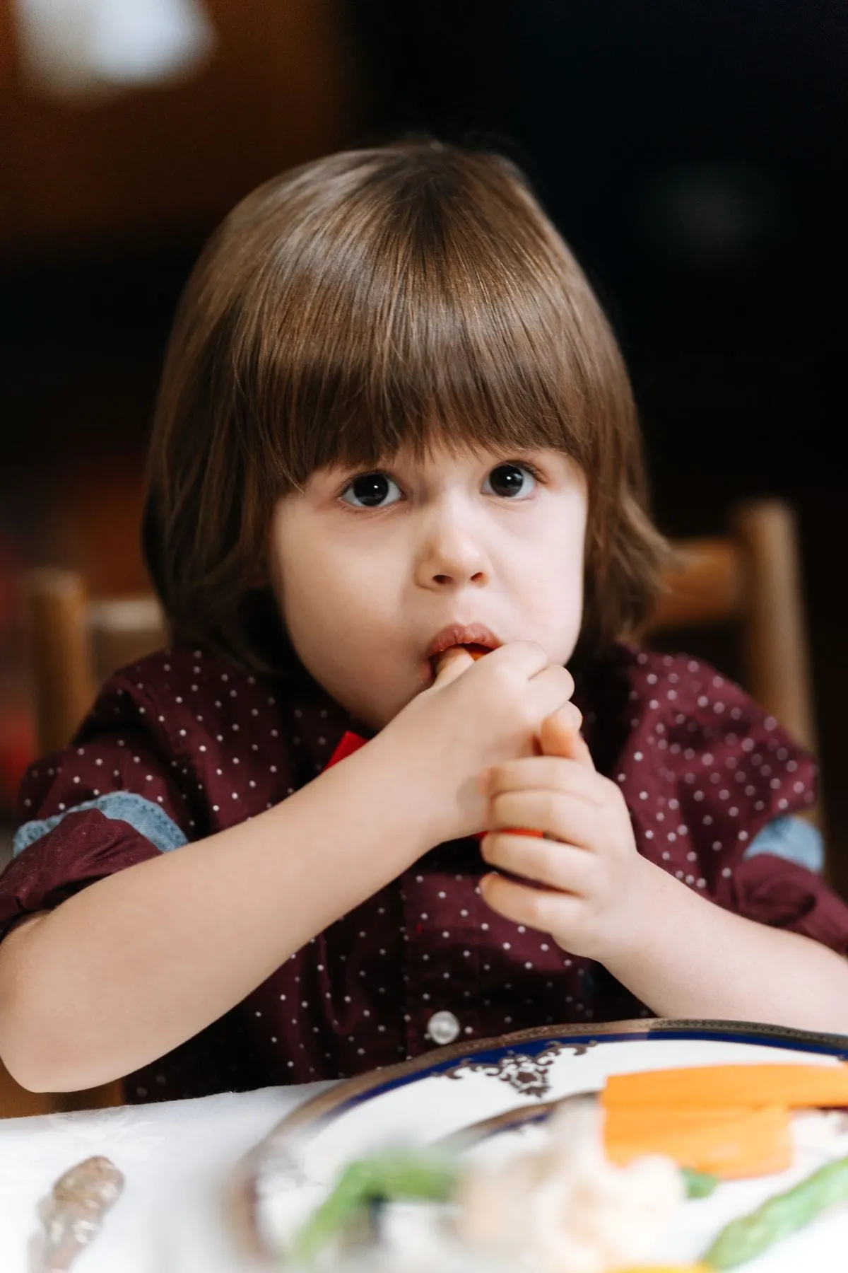 Picky toddler eating a carrot stick from a plate of separated foods, part of these lunch ideas for toddlers