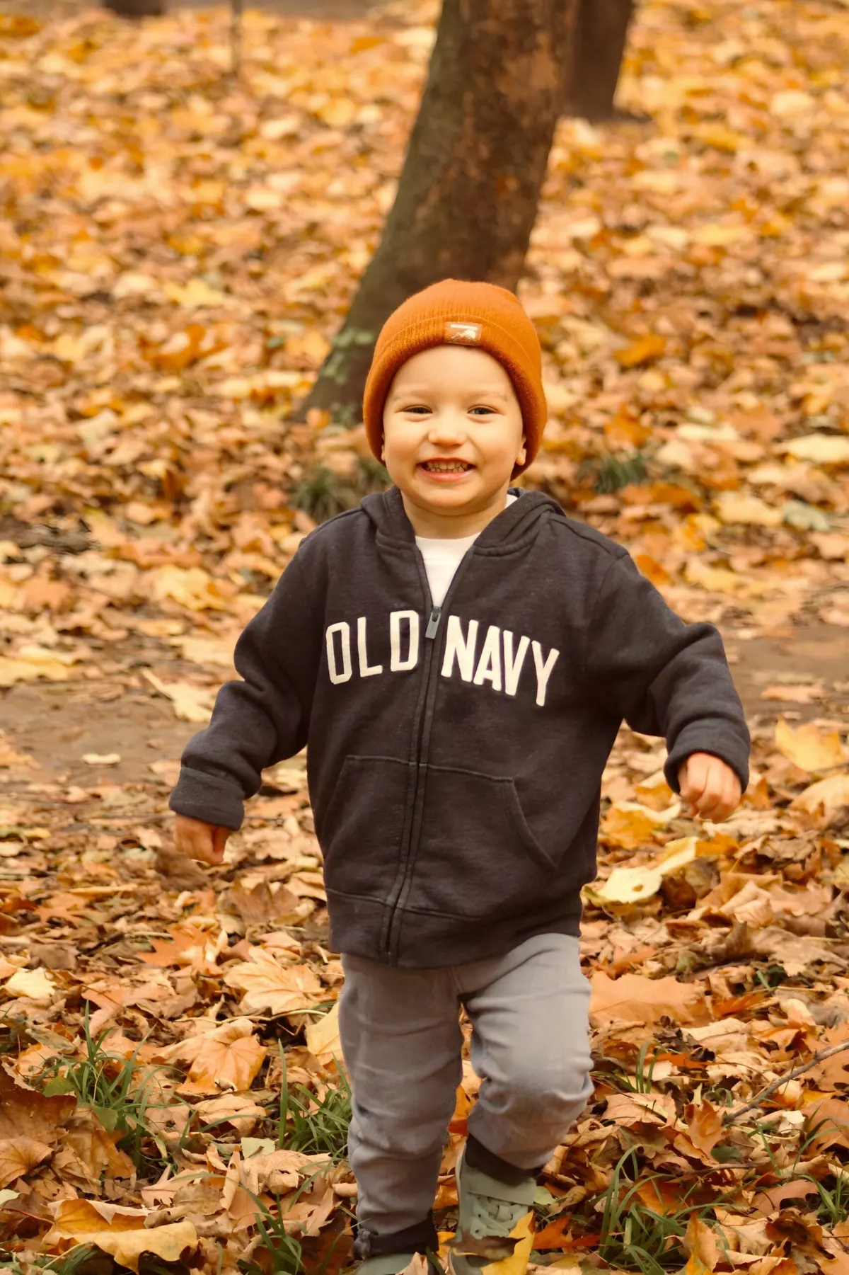 Smiling toddler playing among colorful autumn leaves, a fall sensory activity for toddlers
